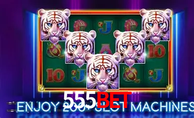 Descubra a Magia dos Jogos de Arcade no 555bet